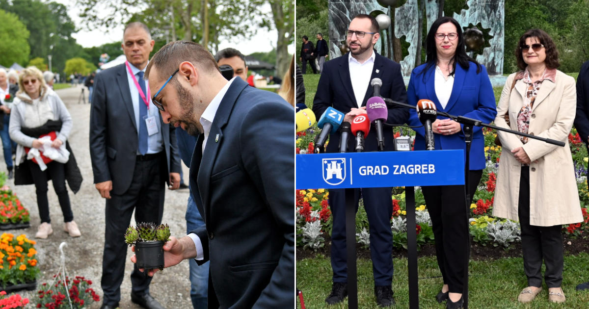 Tomislav Tomašević, Damir Grgić, Božena Cvitanović